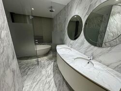Viva (D11), Condominium #558583841